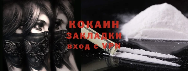 кокс Алексин