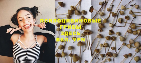 Альфа ПВП Арсеньев